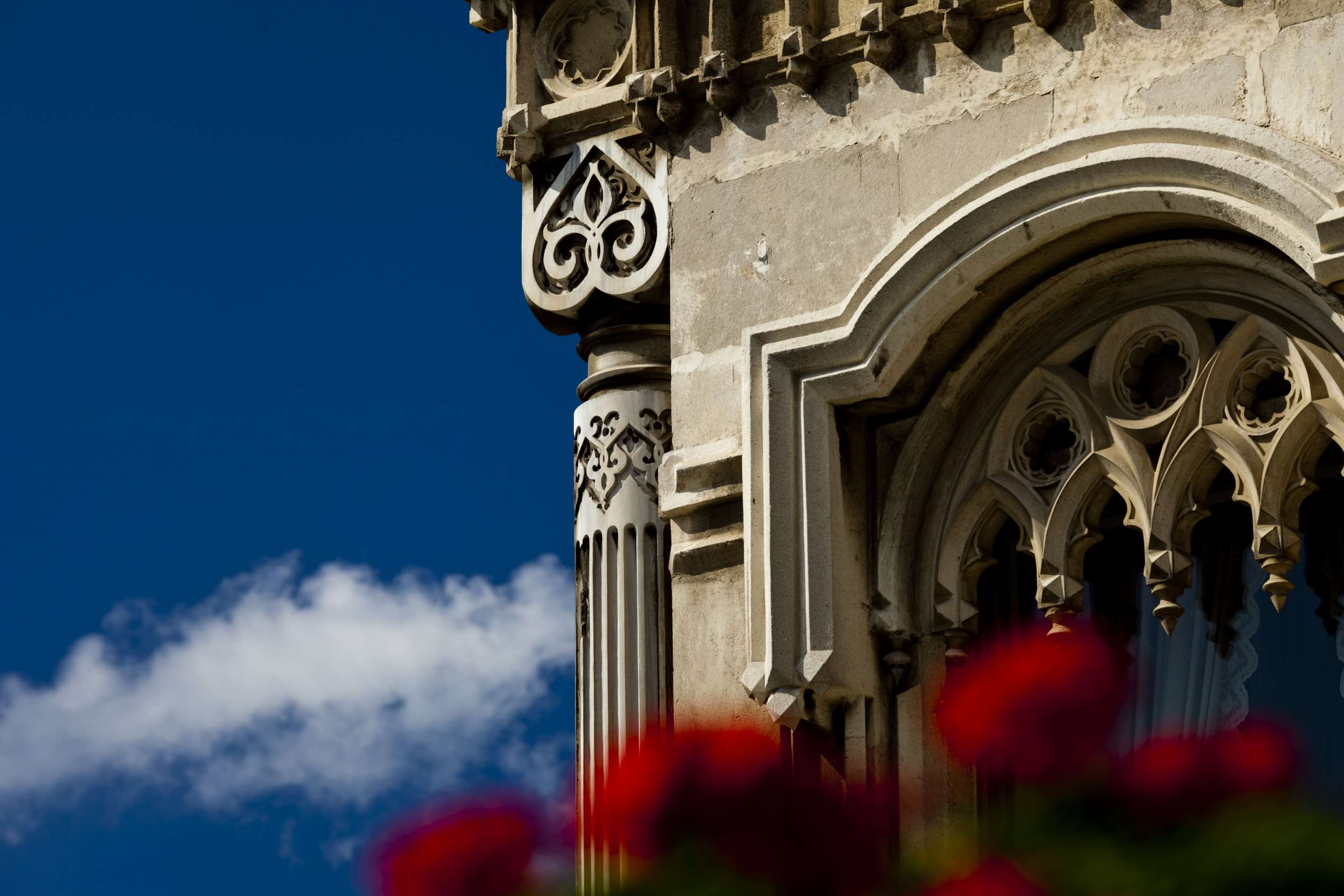 Detail image 6