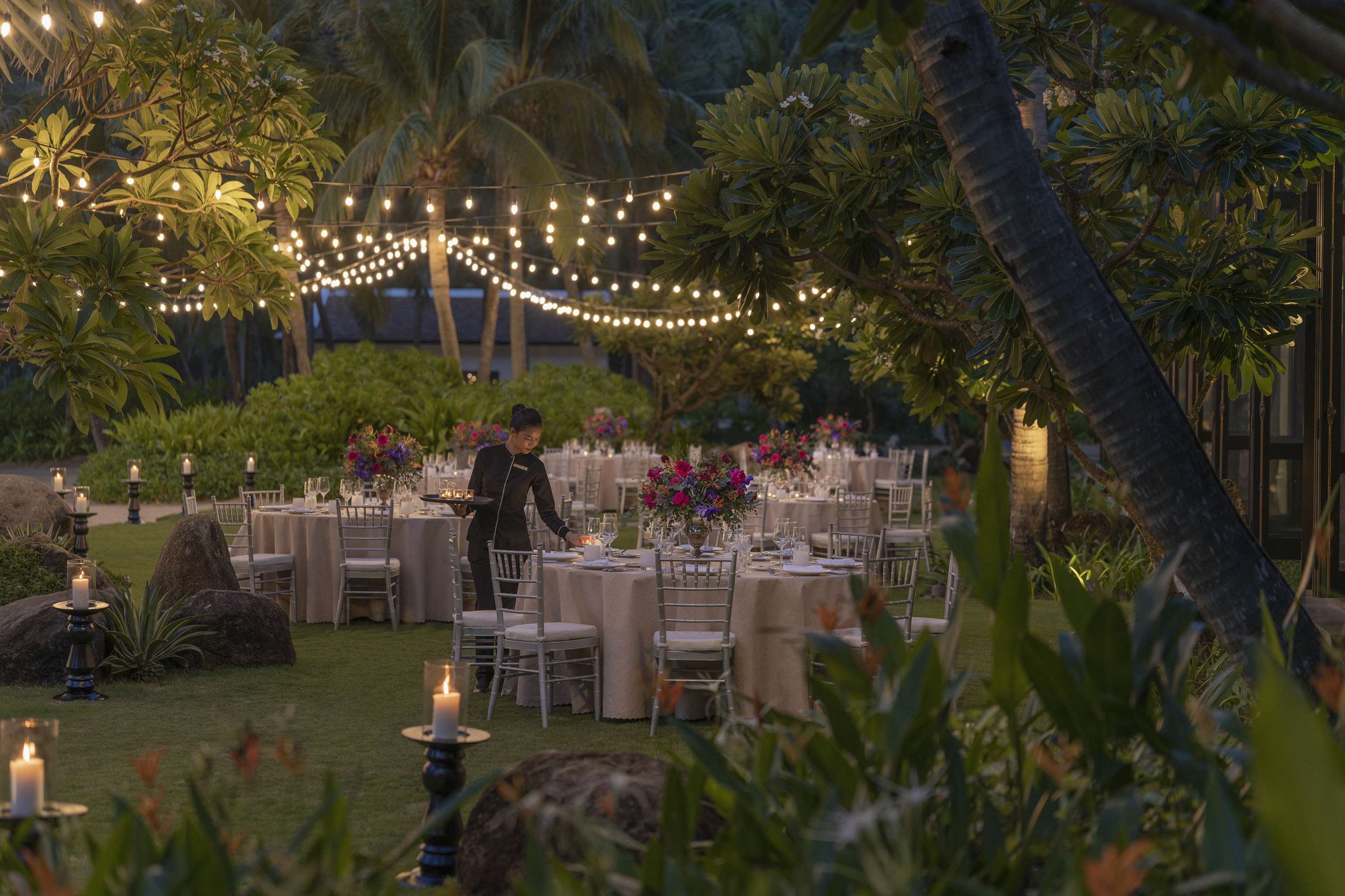 Tropical Parties Awaken