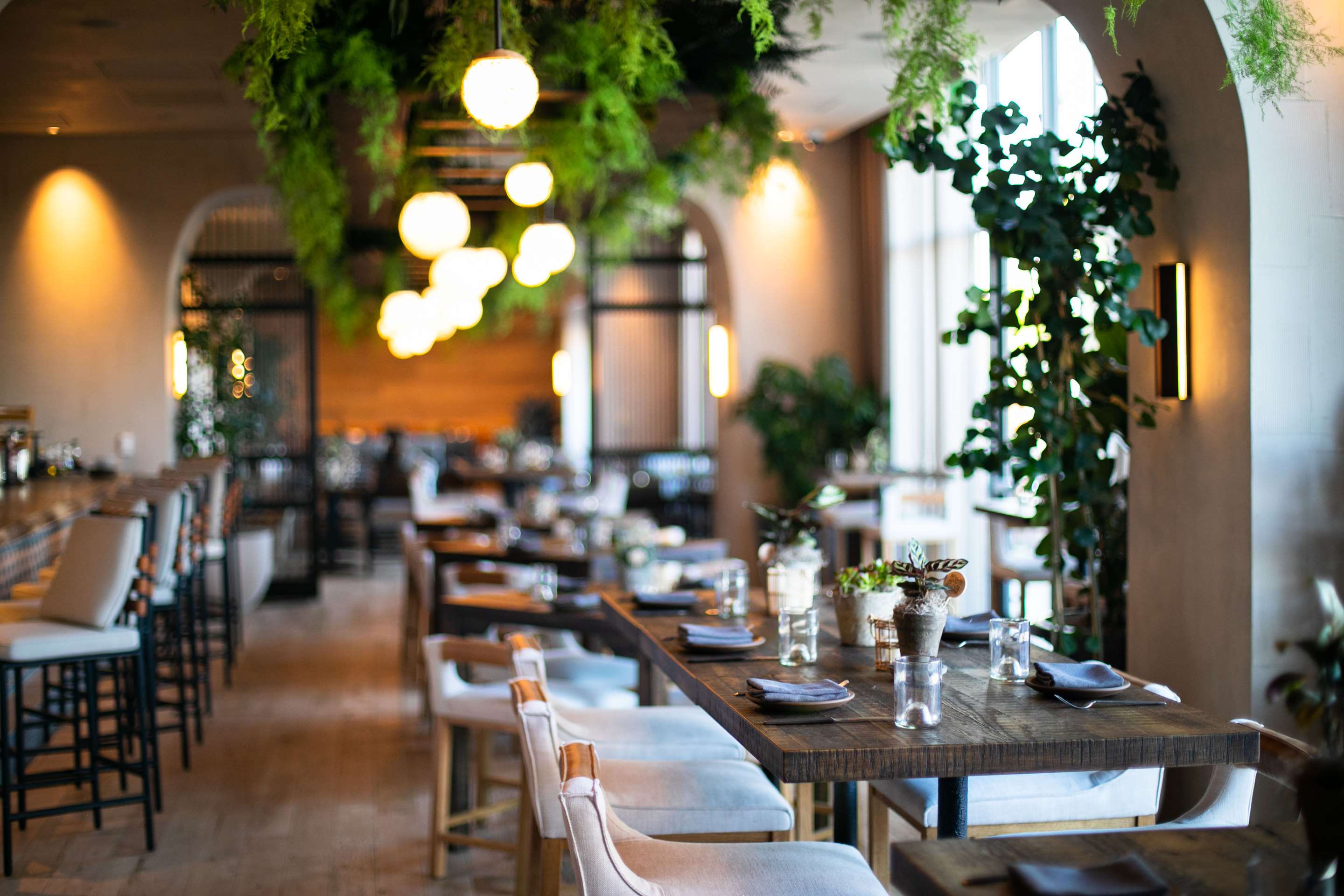 Terrene Interior Photo Credit Conor Hagen