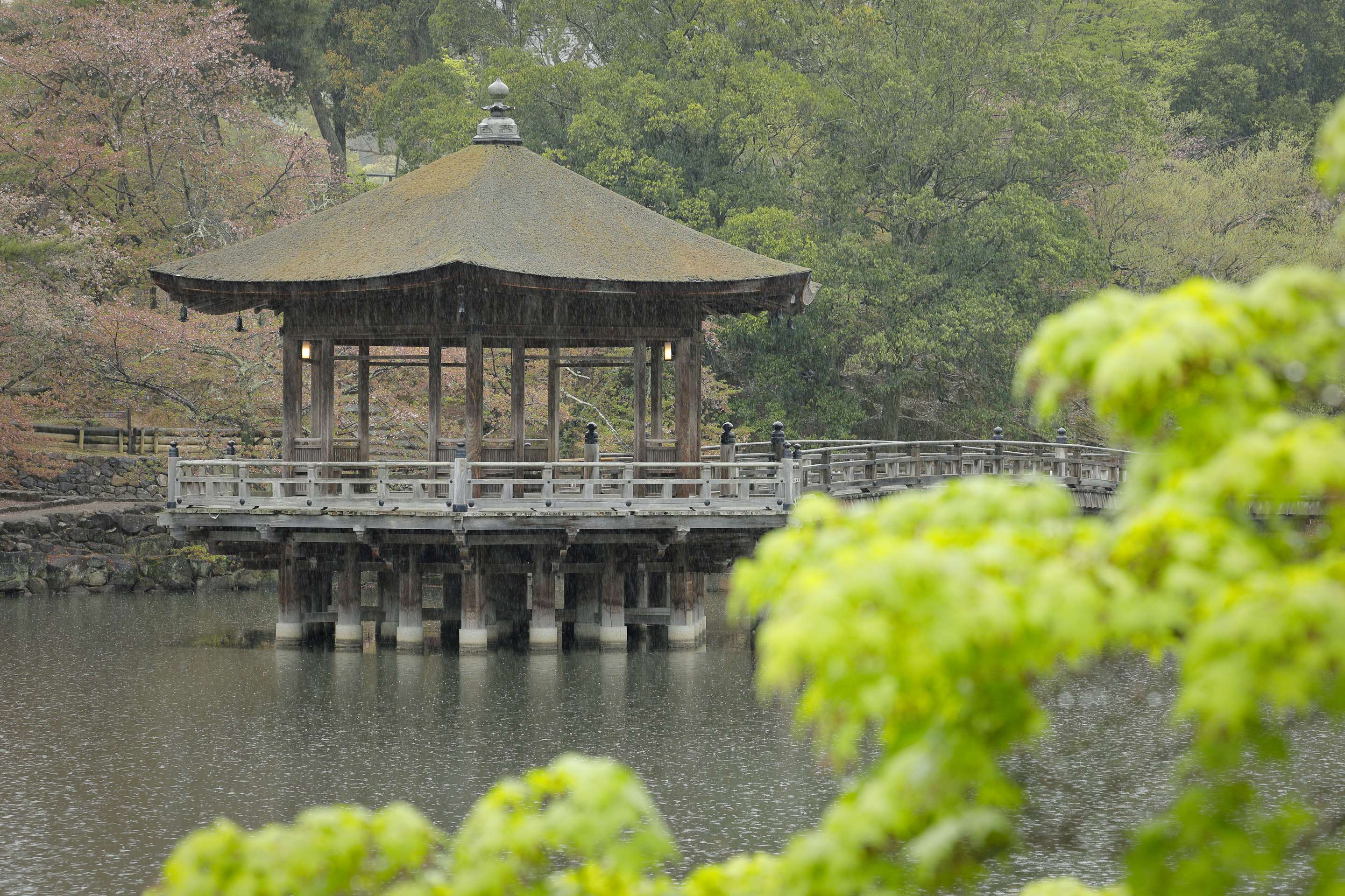 UKIMIDO (Nara Park)