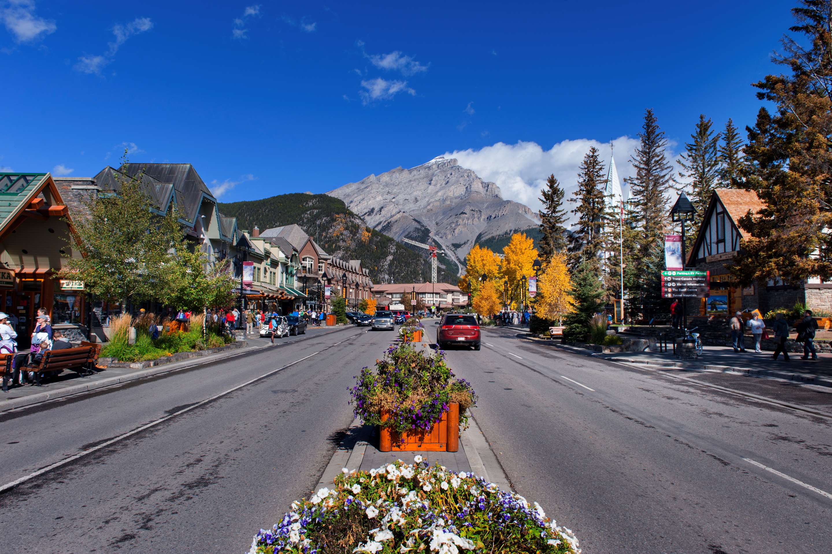 Banff Avenue, Summer