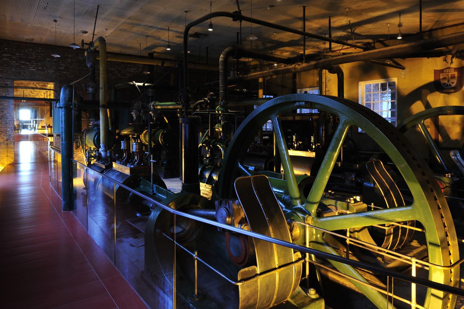 Private Collection of The Singular P