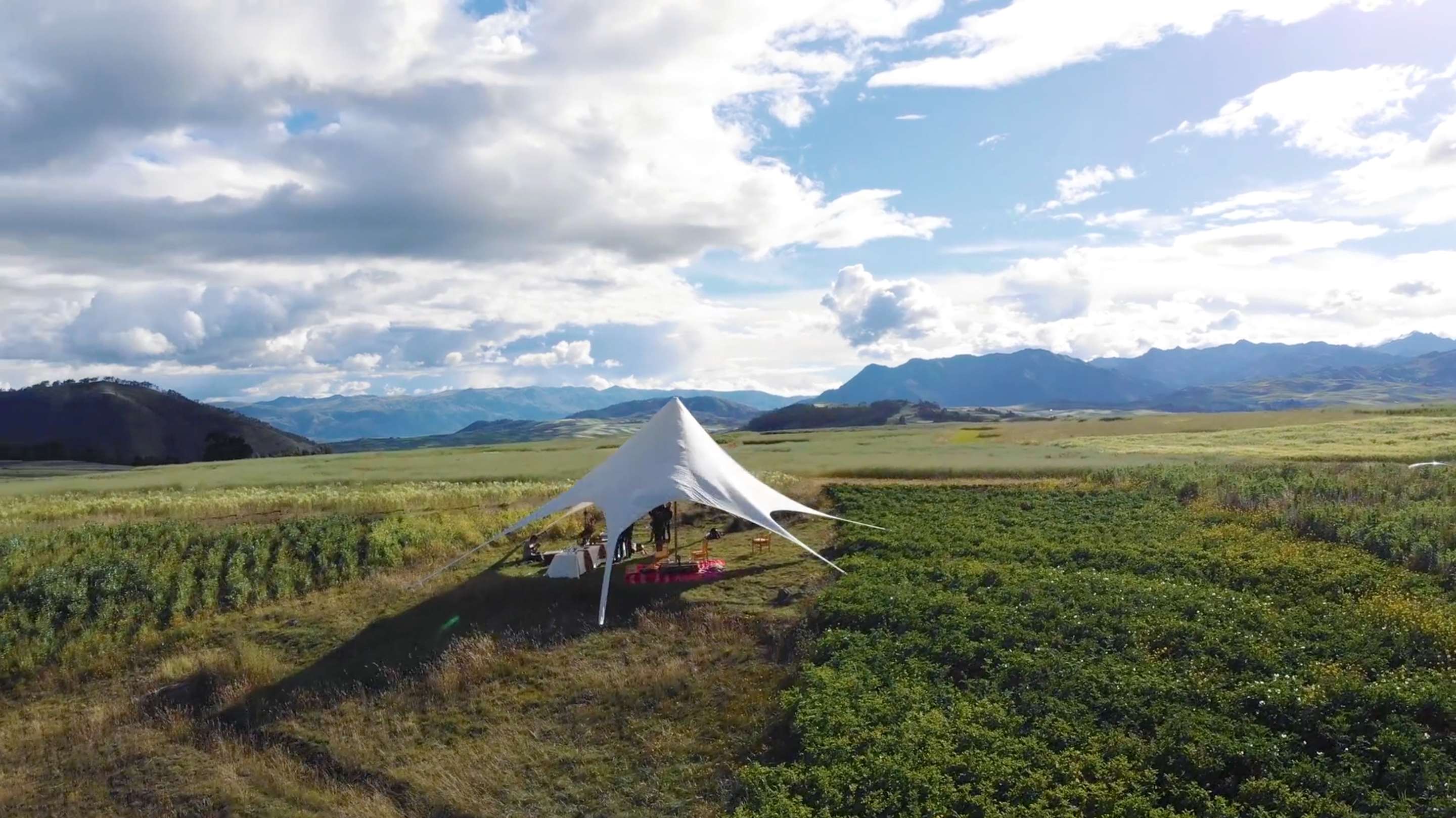 Culinary Experiences