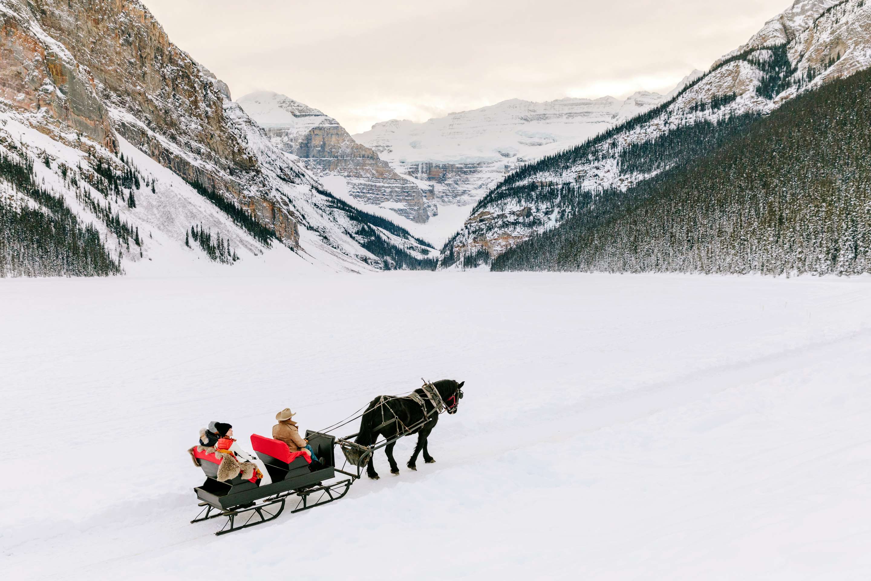 Sleigh Ride Winter Wonderland