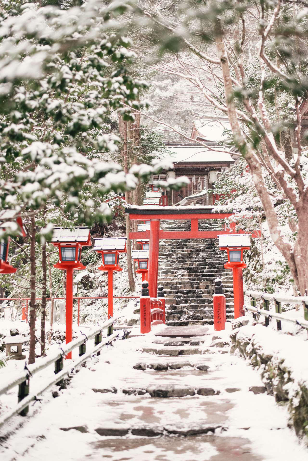 Winter in Kyoto