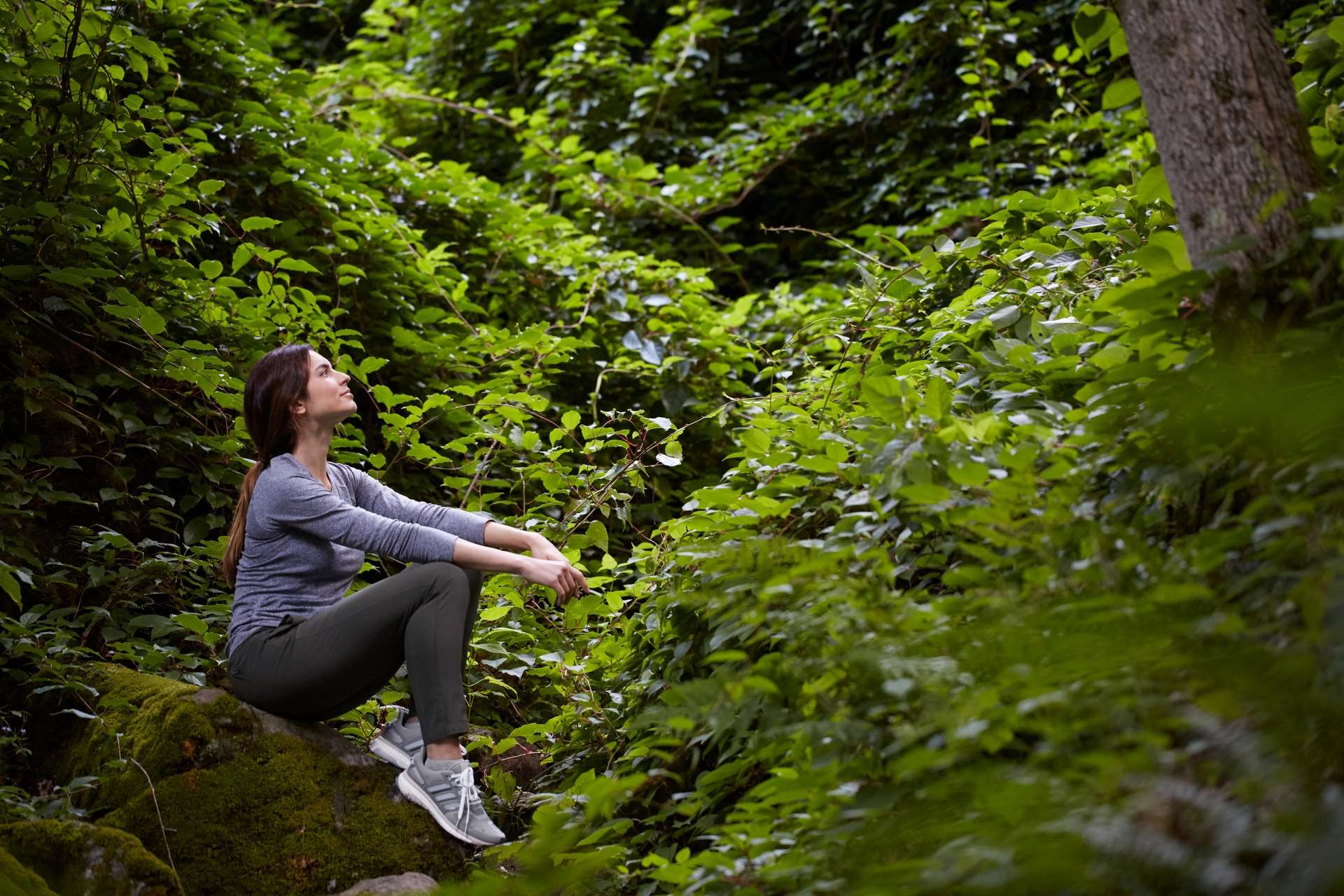 Canyon Ranch in Lenox