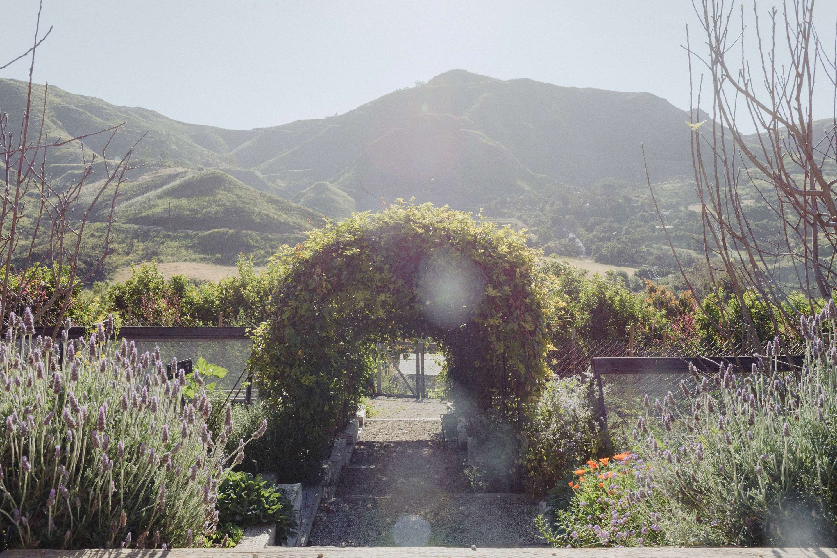 On-Site Certified Organic Garden