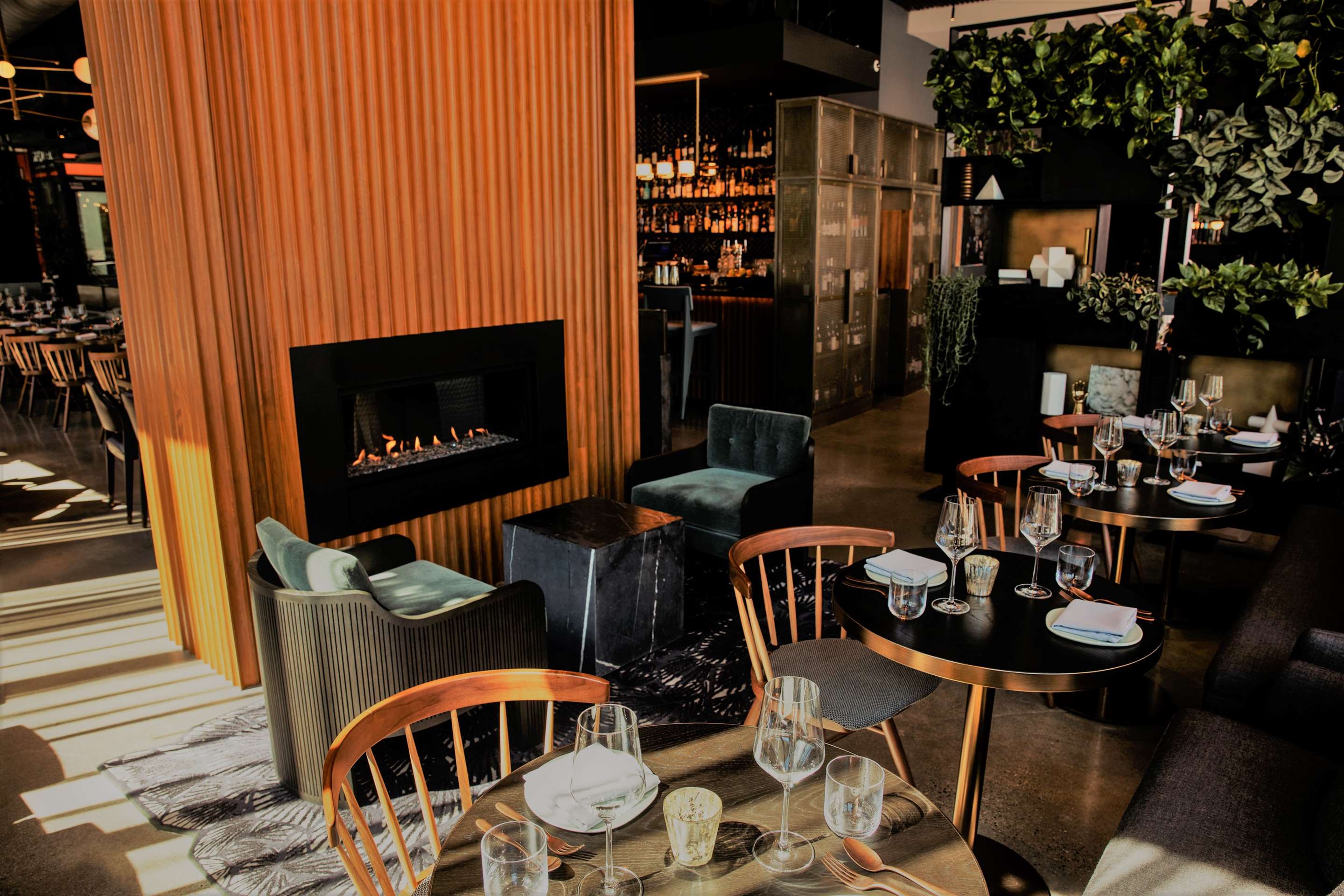 TSH Dining Conversation LoungeFirepit