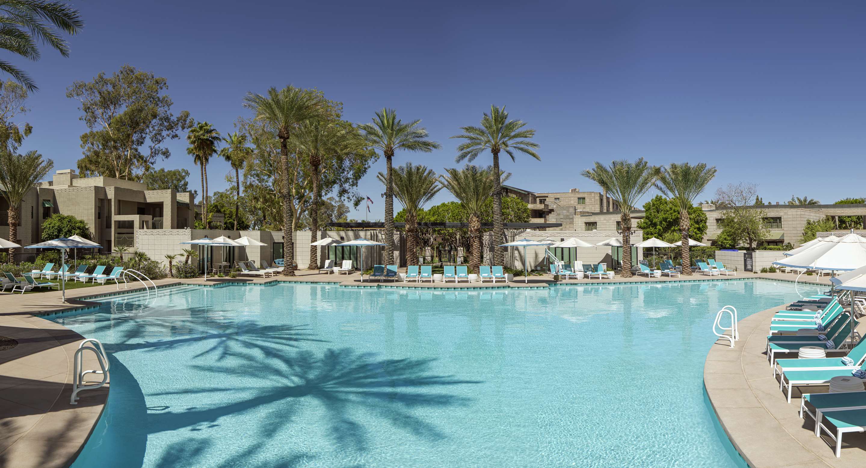 Biltmore Palm Trees Paradise Pool