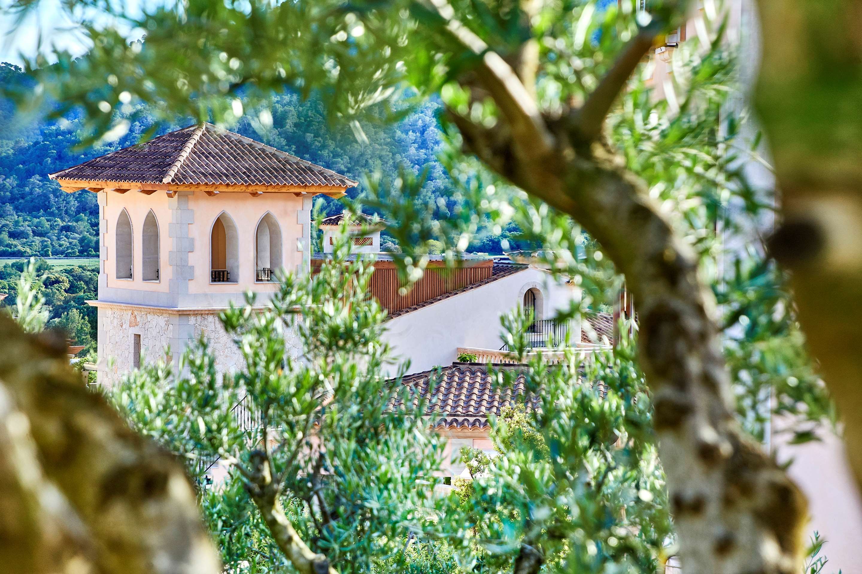 Detail image 6