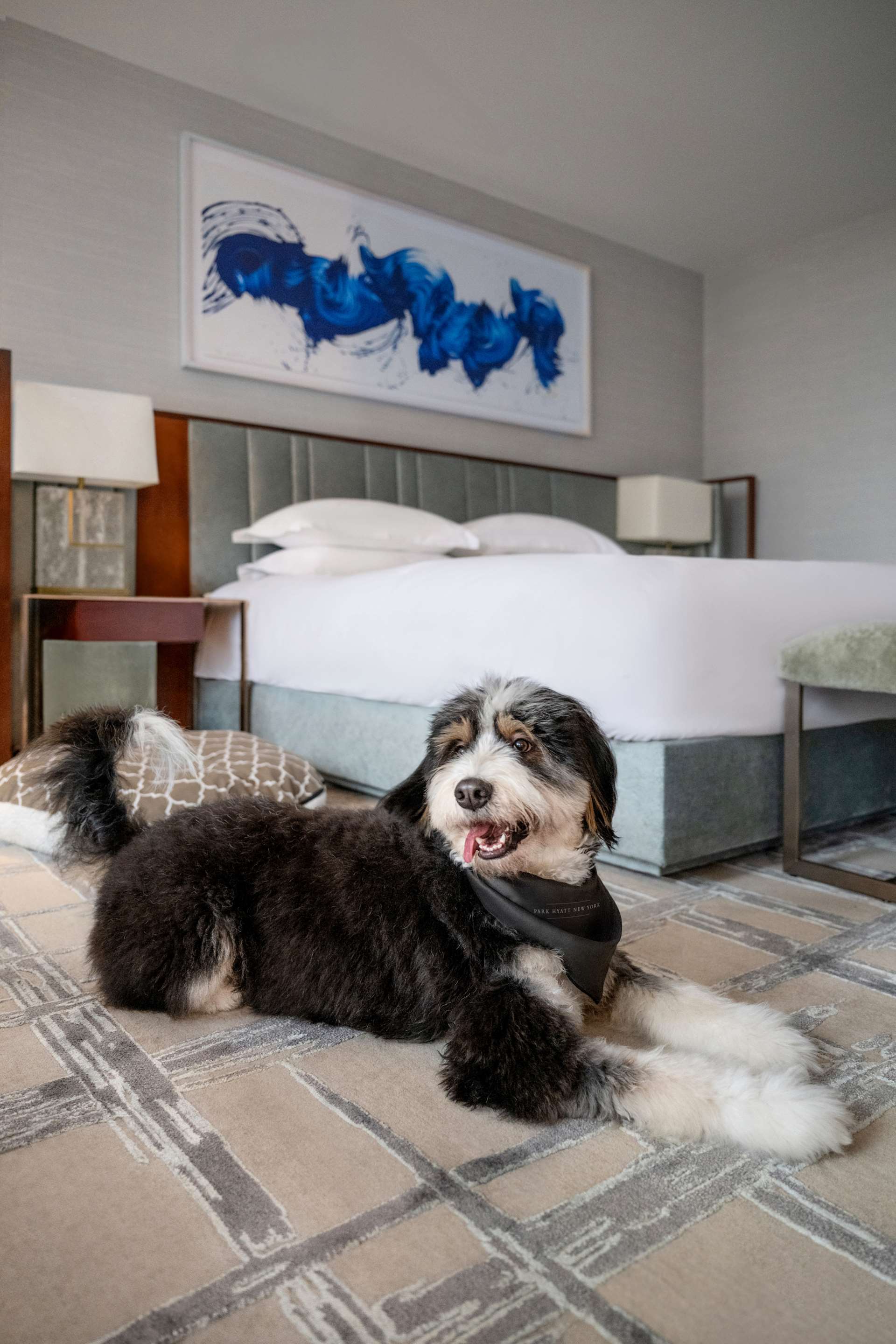 Park Hyatt New York Pet Friendly