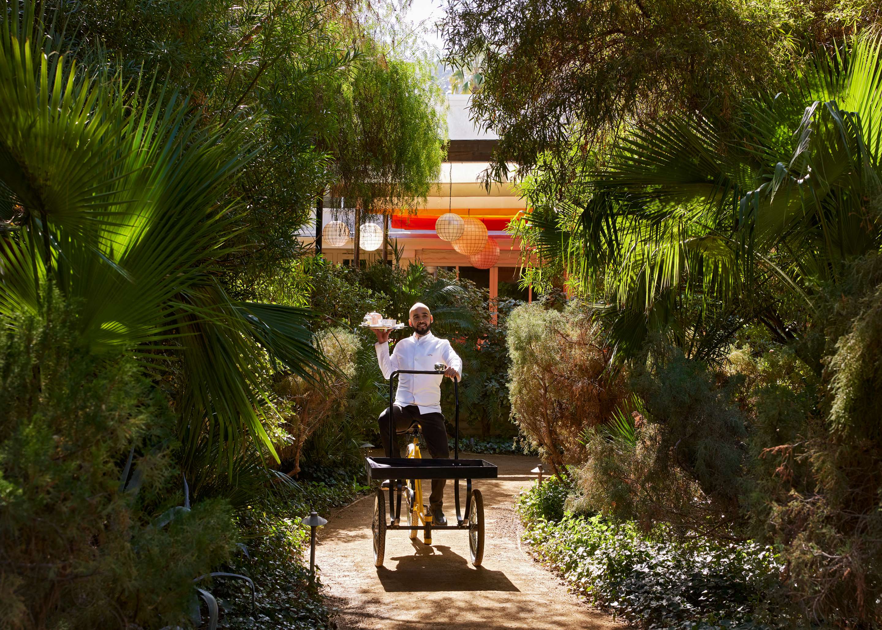 Room Service Tricycle