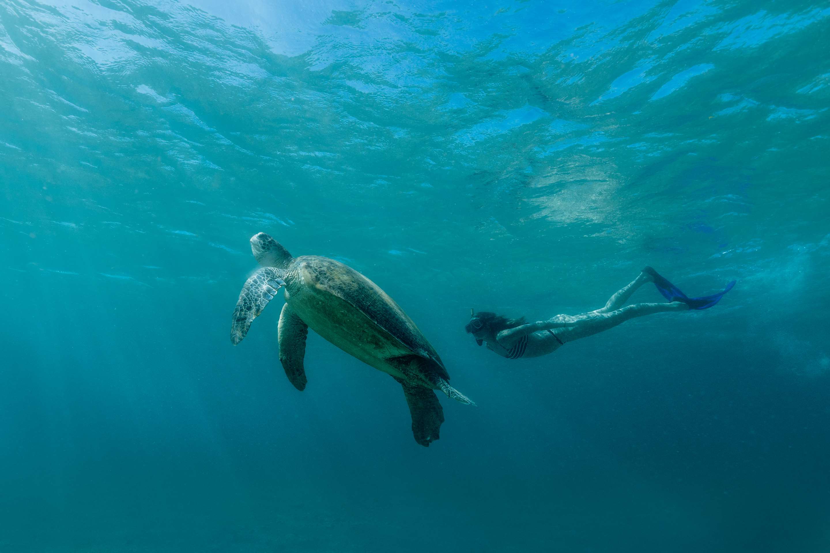 Amanpulo  Snorkelling
