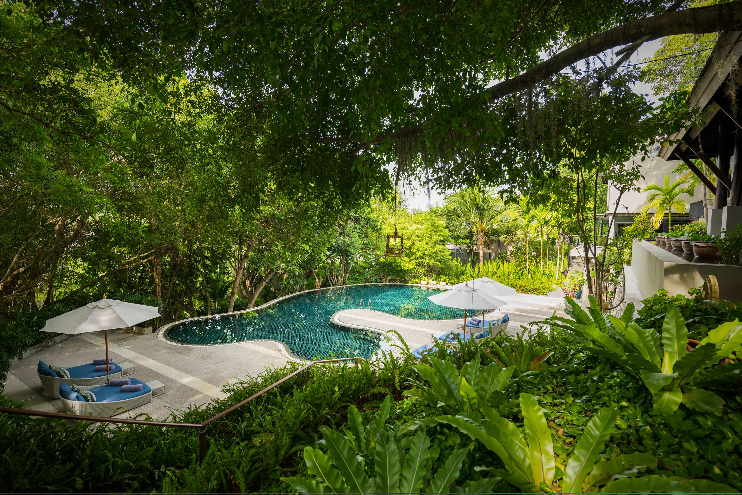 A view of the hillside swimming pool through the greenery