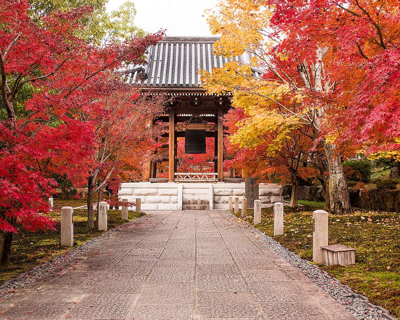 Autumn in Kyoto