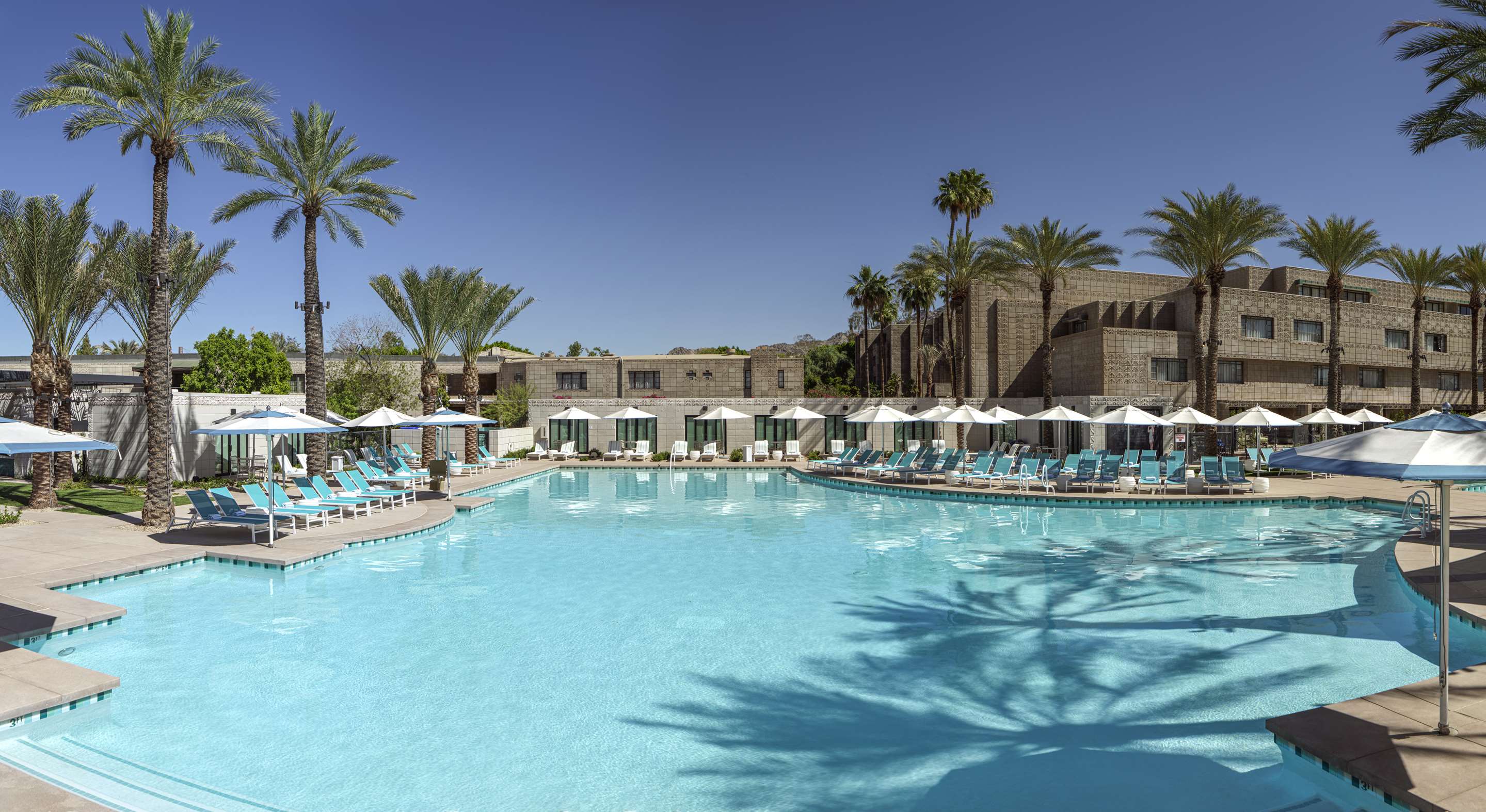 Biltmore Palm shadow looking at Cabanas Paradise Pool