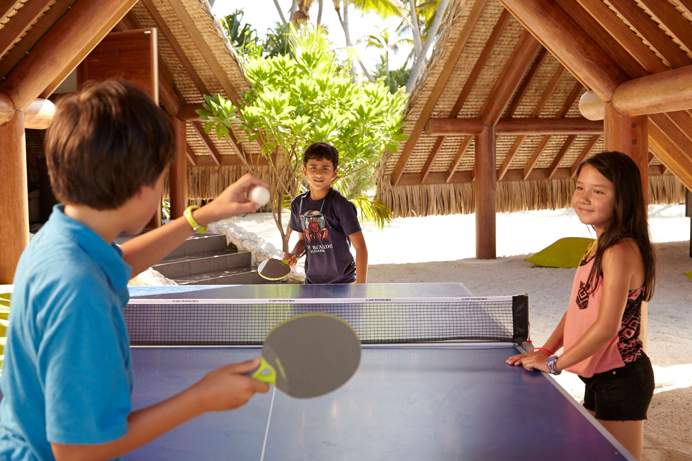 Ping Pong Activity