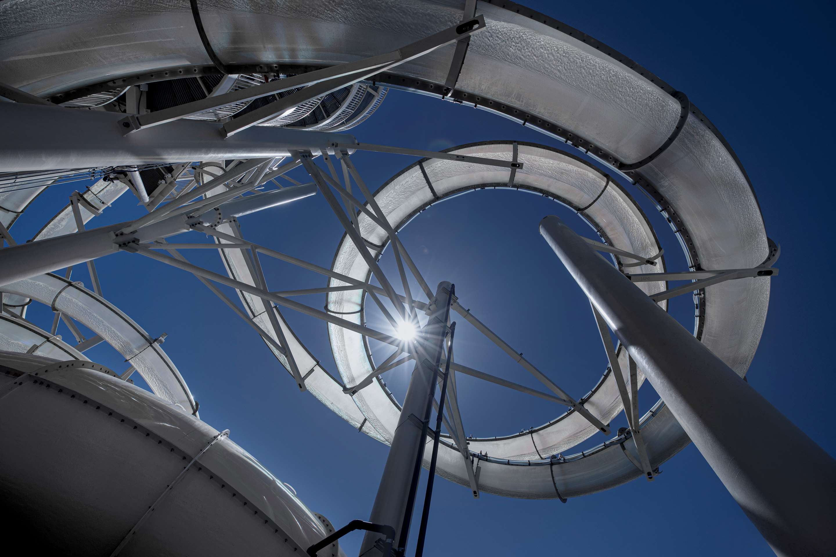 Biltmore Twist looking up