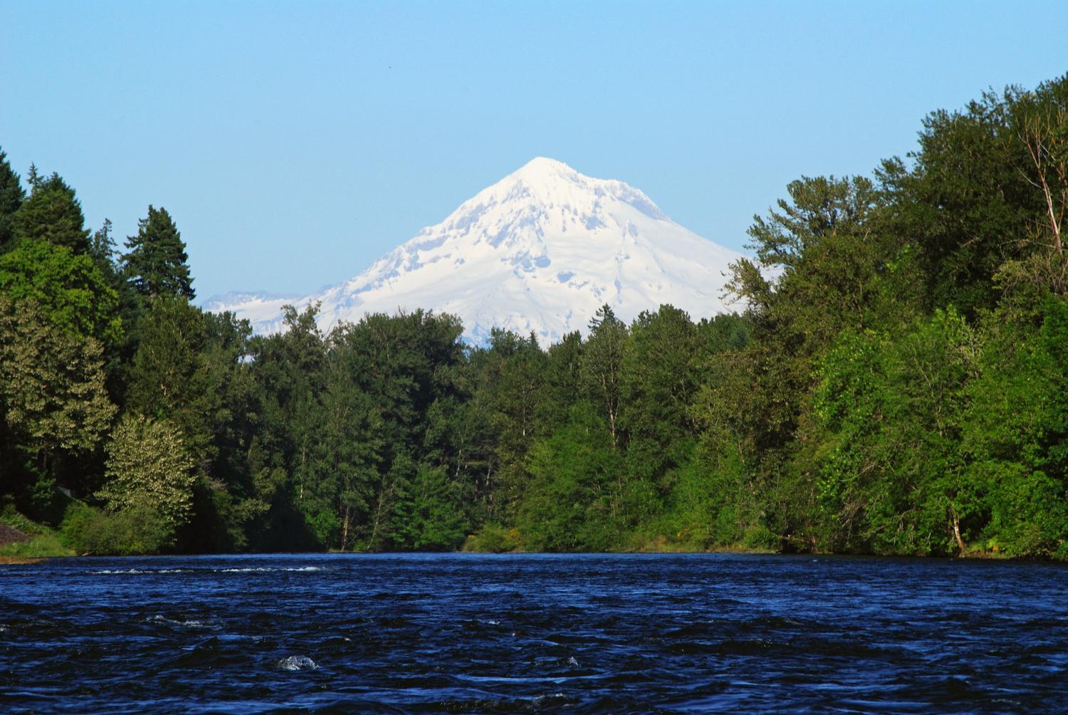View of Mt. Hood