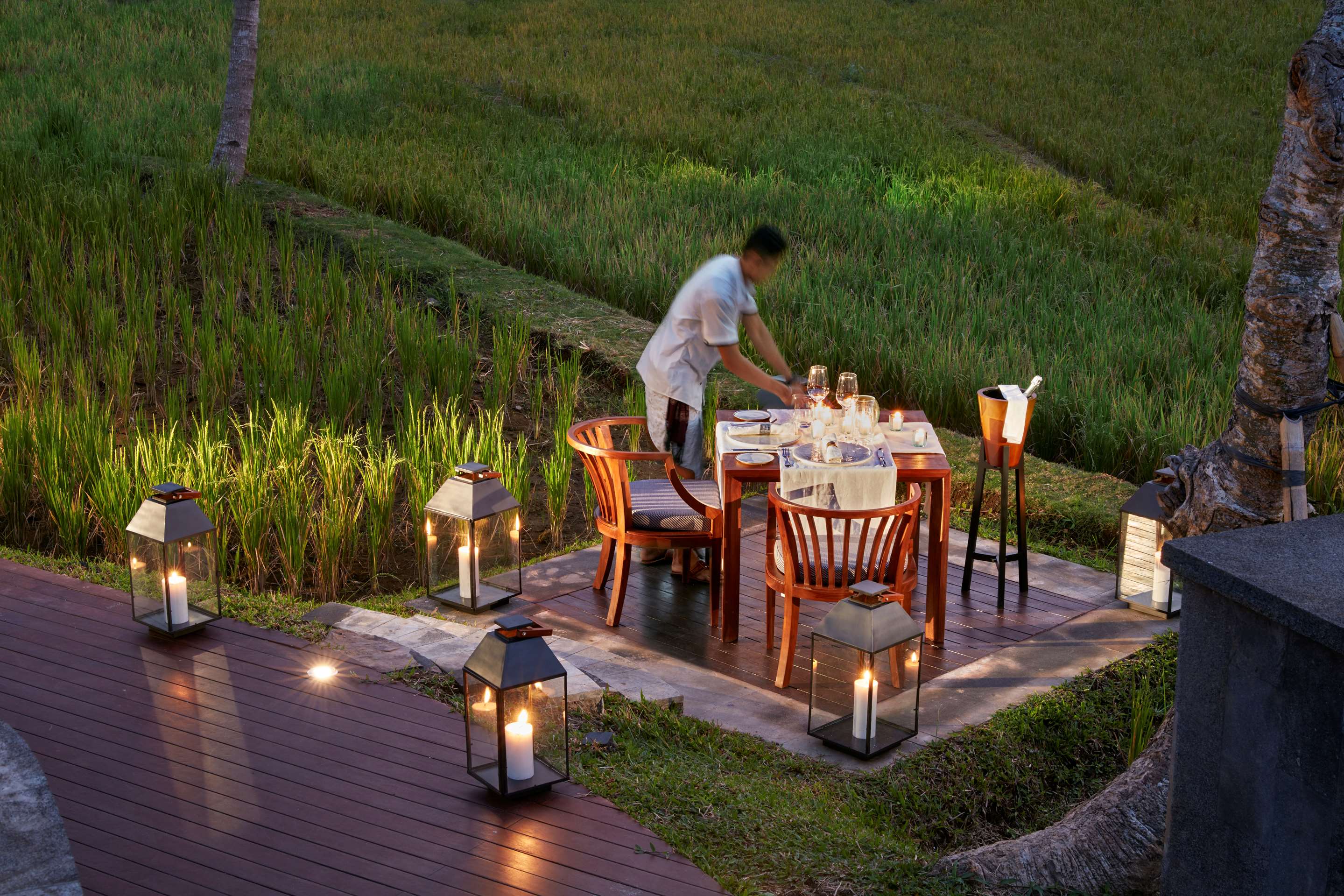 Dining Beyond by Rice Field