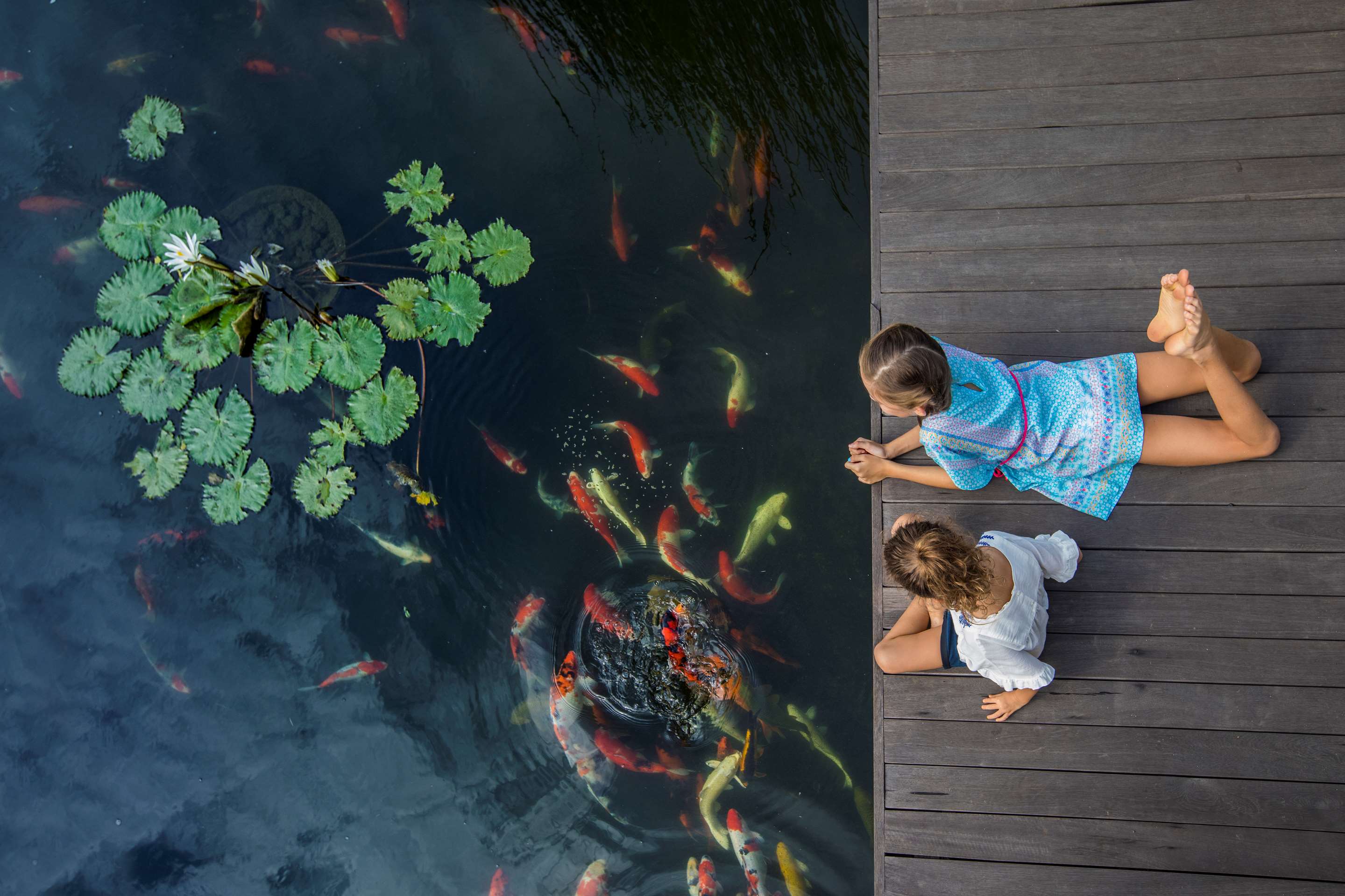 The Ritz Carlton Bali Koi Pond with