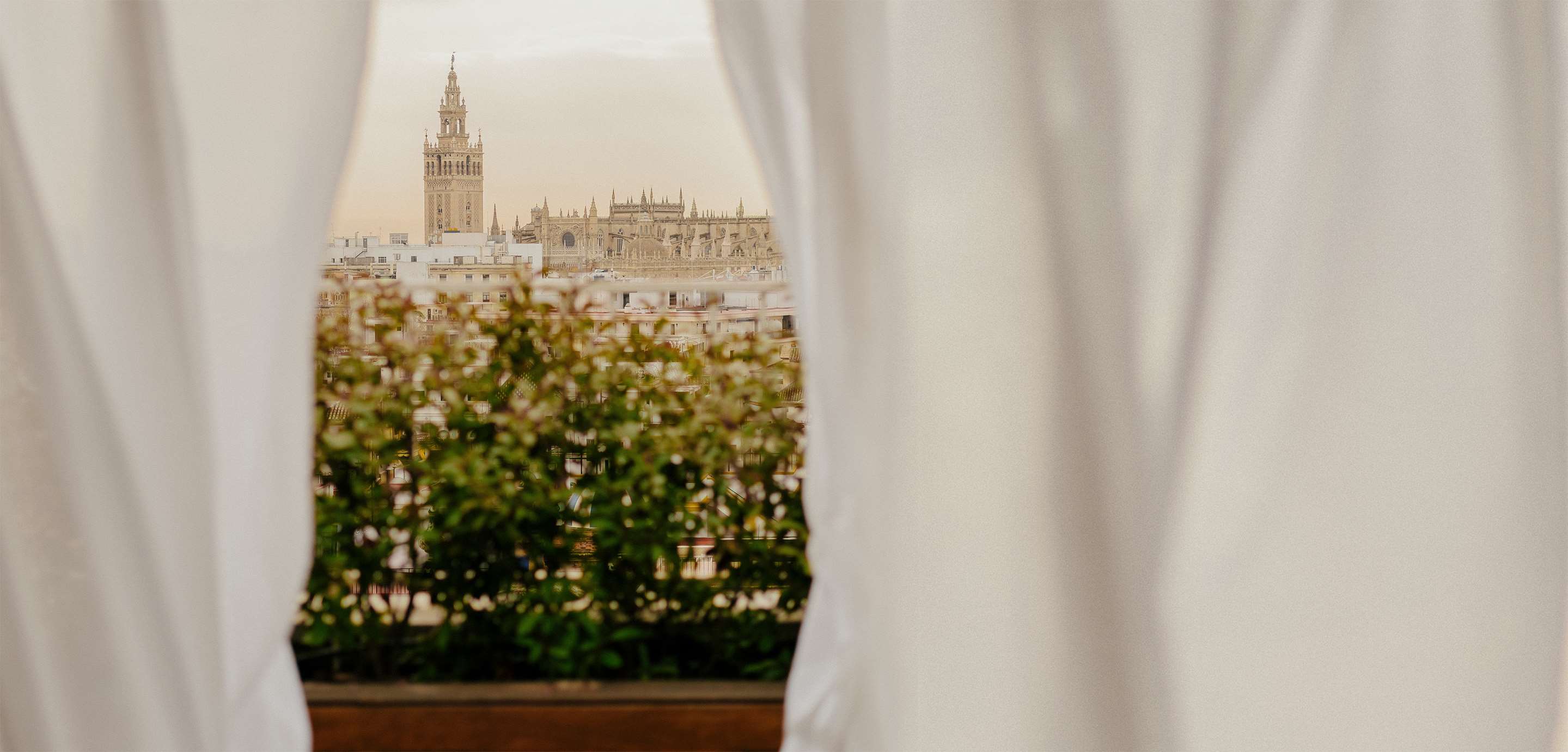 HotelColonGranMelia Details