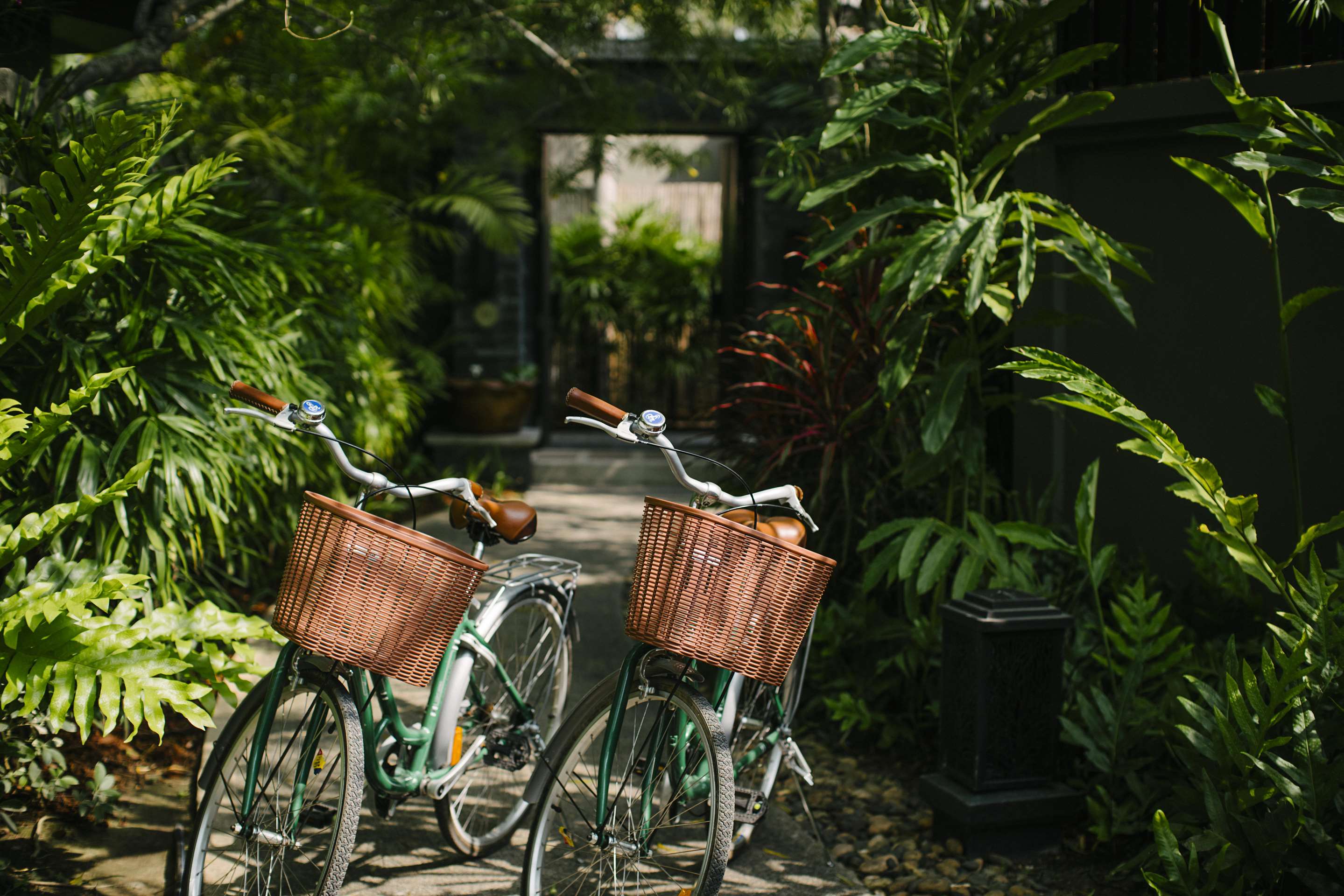 Bikes with baskets on the garden pathway surrounded by lush greenery