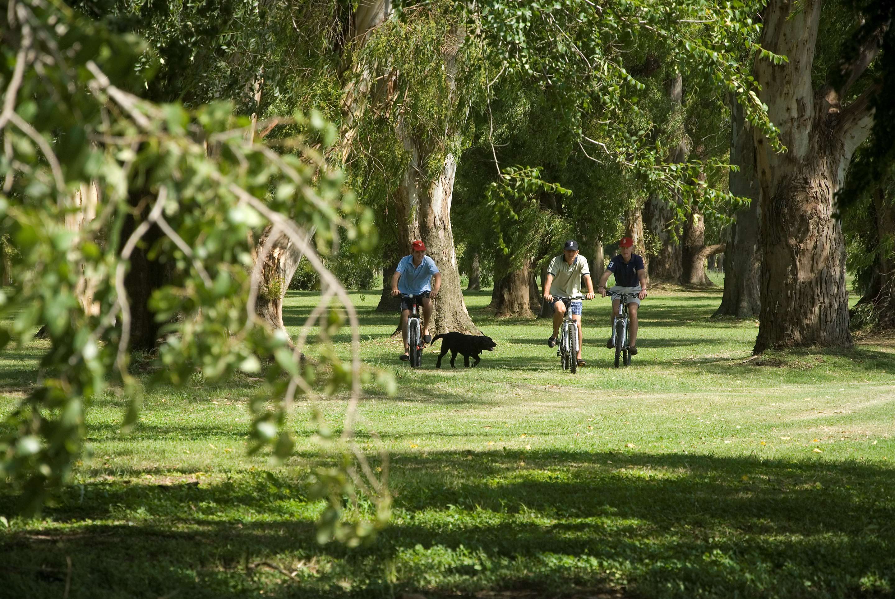 Bicycles at La Bamba