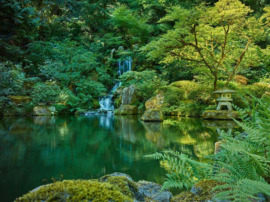 PDXRZ japanesegarden compressed