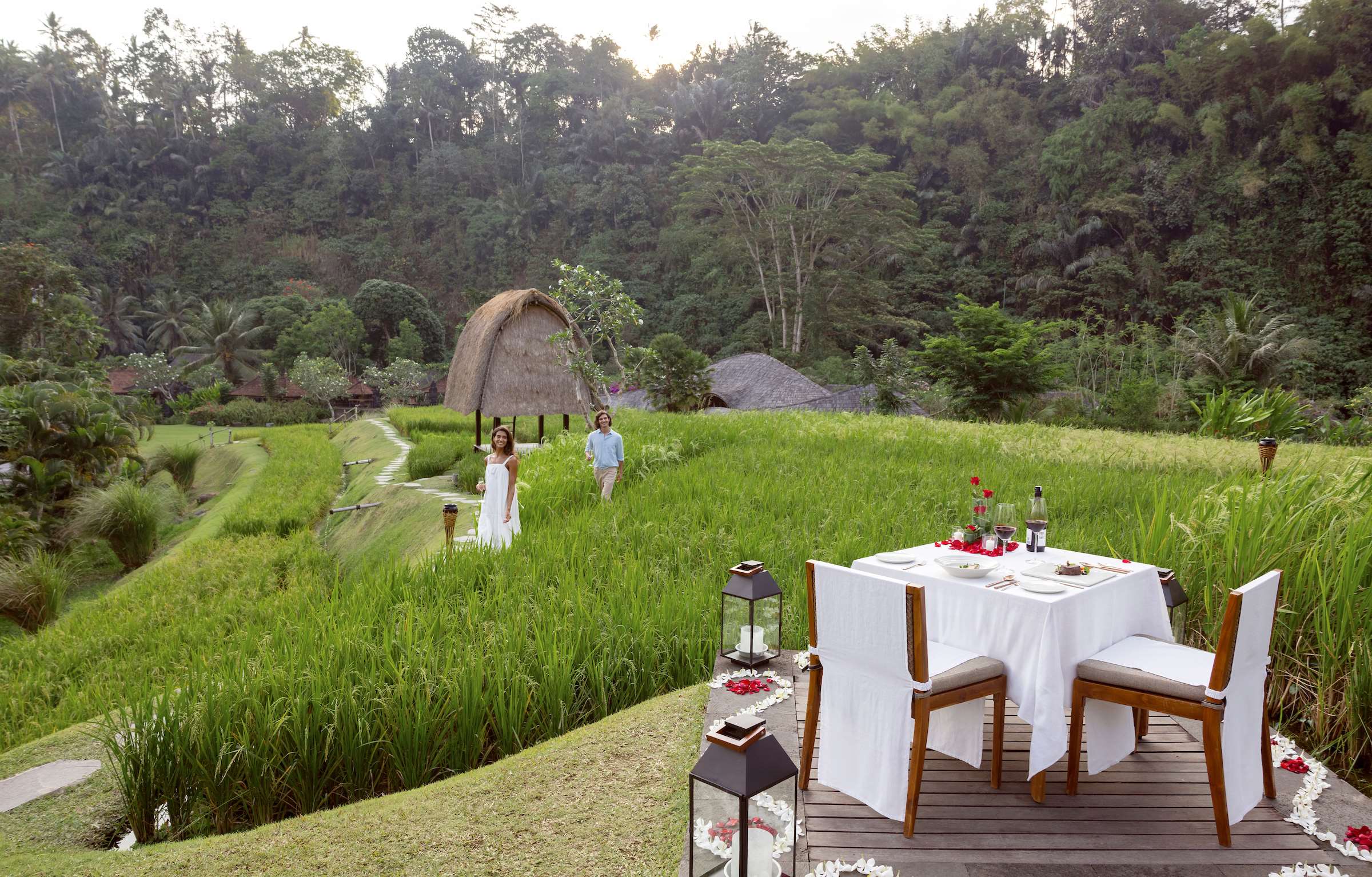 Rice Field Dining