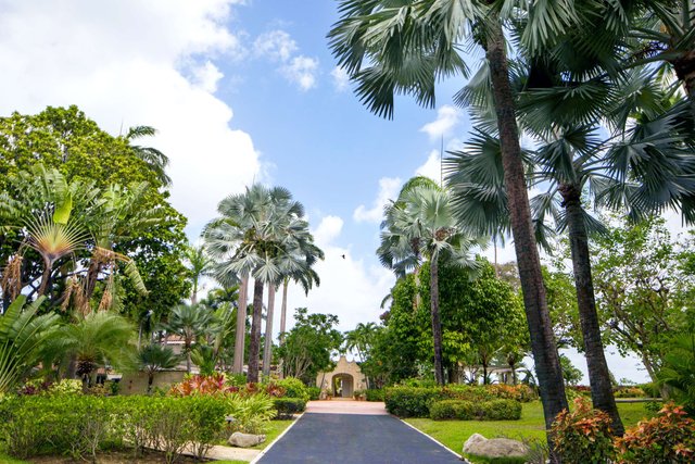 Paradise Found, Barbados