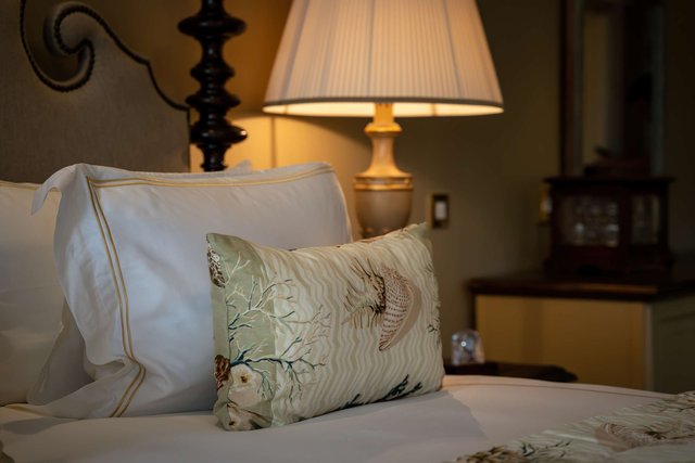 One Bedroom Suite- Suite 103