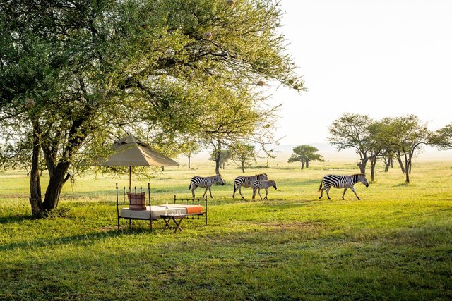 Singita Sabora Tented Camp 