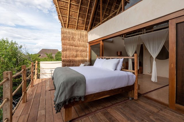Signature Suite Upper - Jungle side