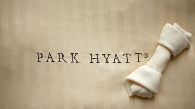 도그-프렌들리 룸