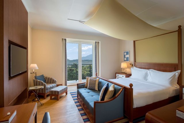 Deluxe Room Mountain View  