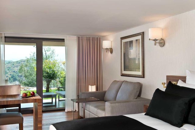 Superior Mountain View Room