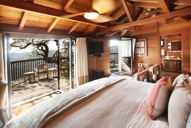 Golden Eagle Tree House