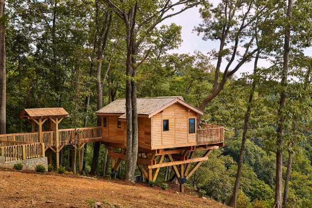Barn Owl Tree House