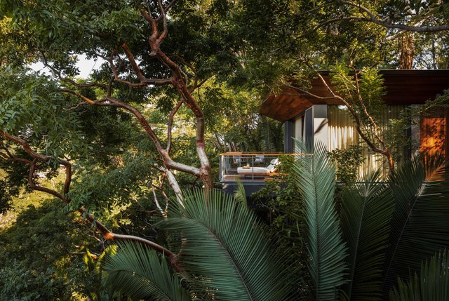 Ocean Treehouse