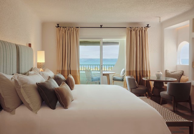 돌체 비타 주니어 스위트