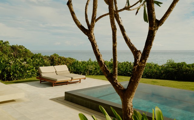 아마네라 카시타