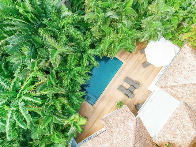 Garden Suite