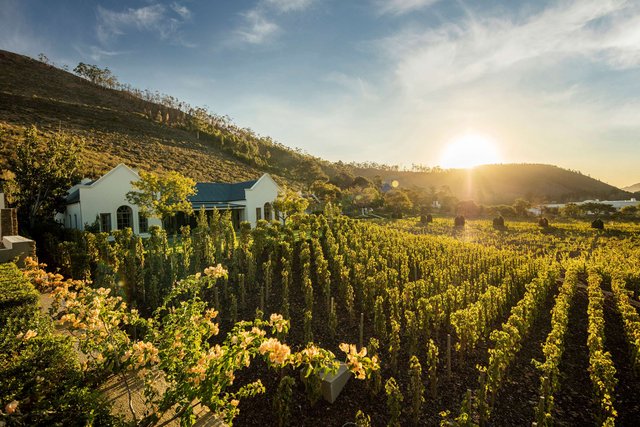 Vineyard Cottage