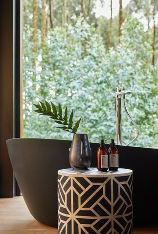 Virunga Suite
