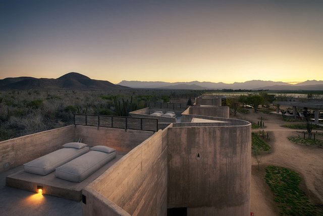 Cacti Sky Suite