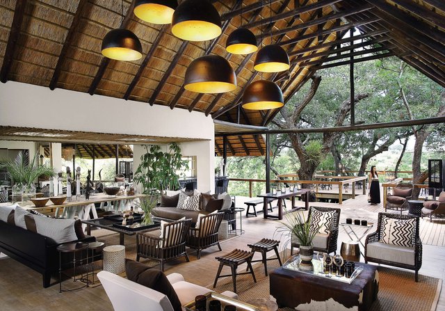 Tree Camp  Suites