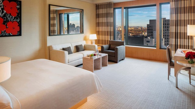 주니어 스위트 스티뷰