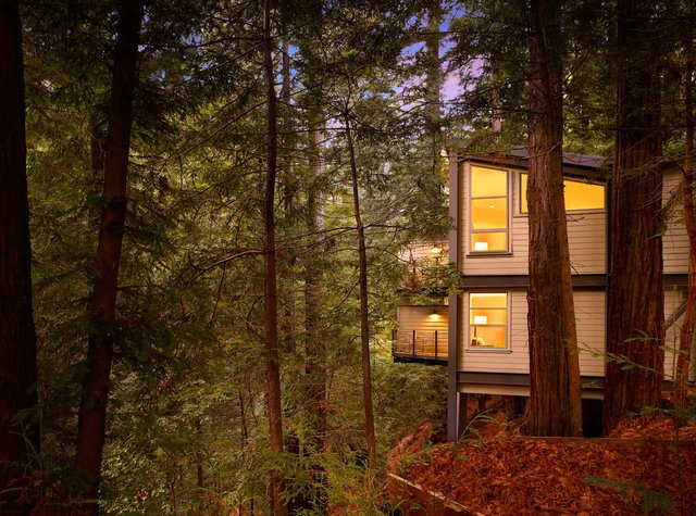 Treehouse Deluxe King  