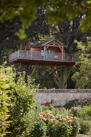 Luxury Tree House